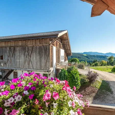Apartment Plattner-hof *